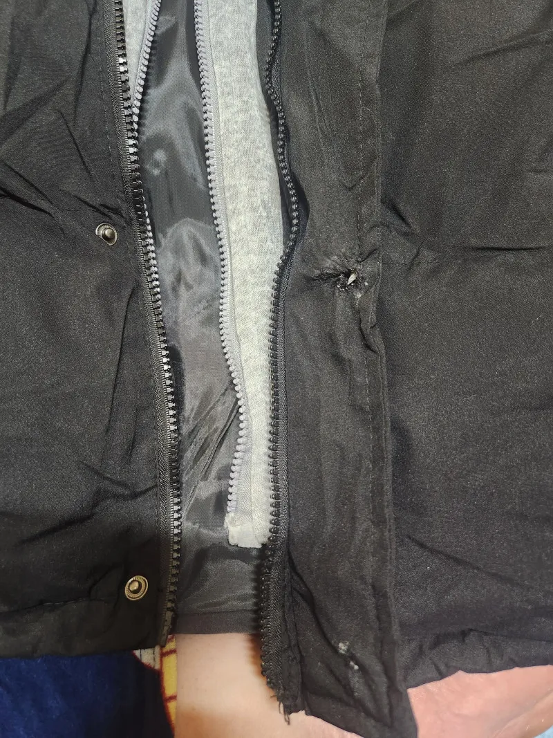 7291318.webp